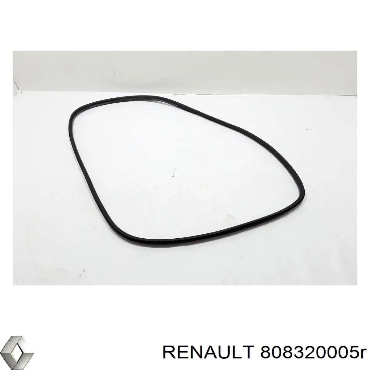Купити 808320005R Renault (RVI) 