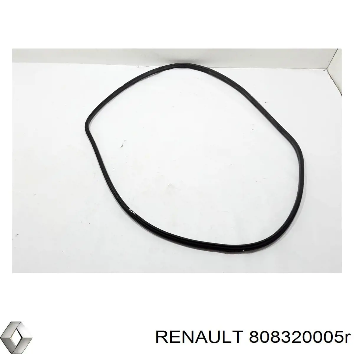 808320005R Renault (RVI) 