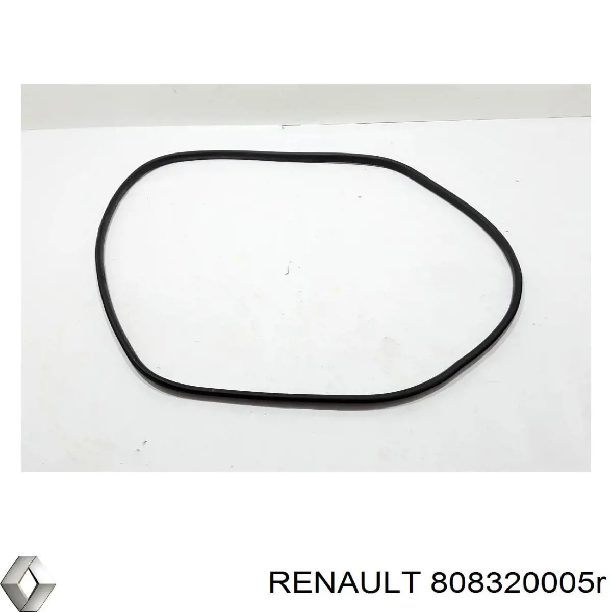  Renault (RVI) 808320005R ціна, від 19.00 USD