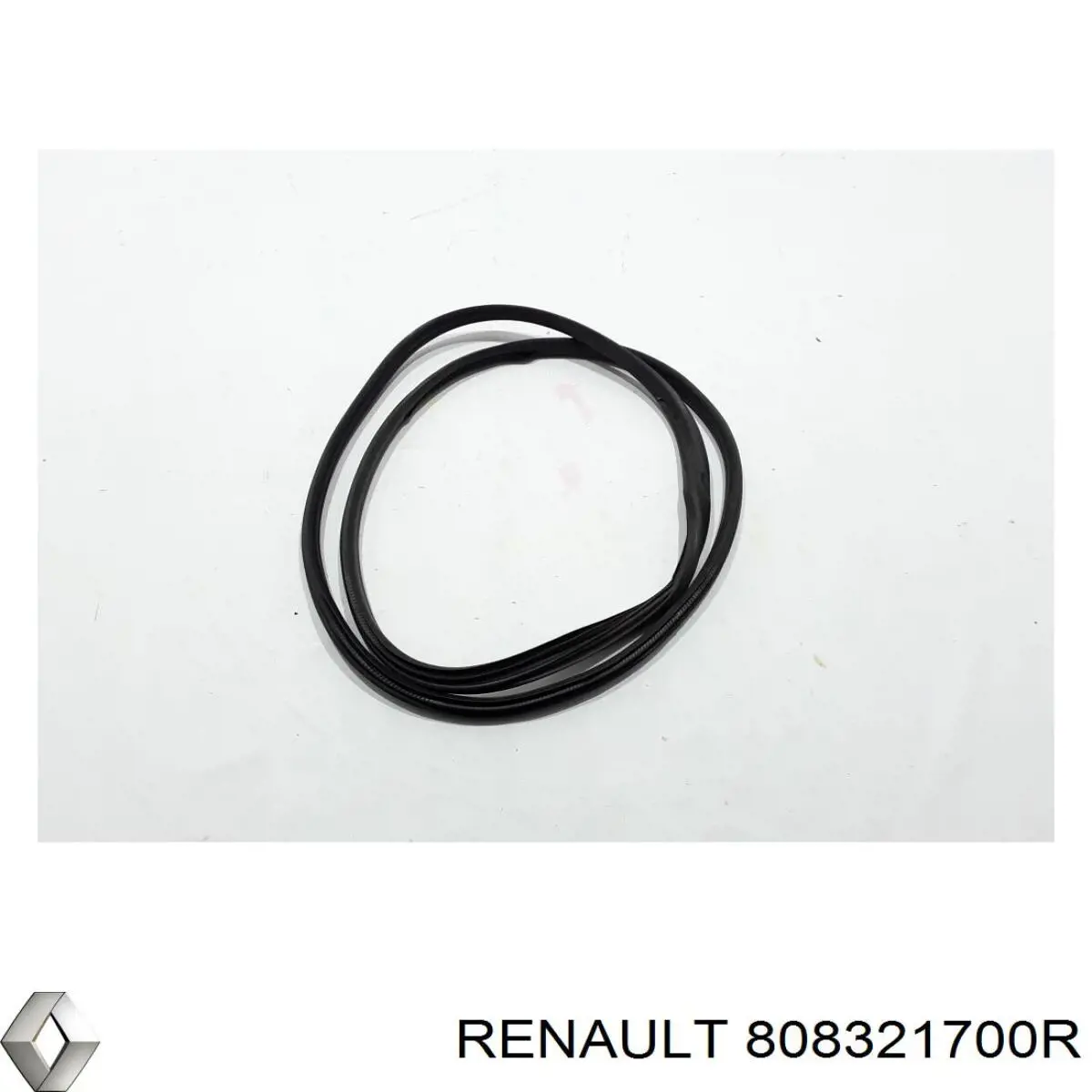 808321700R Renault (RVI) 