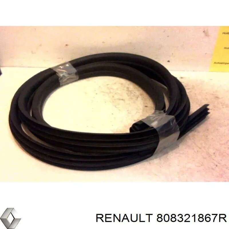 Ущільнювач двері передньої правої (на кузові) Renault (RVI) 808321867R ціна, від 129.41 USD