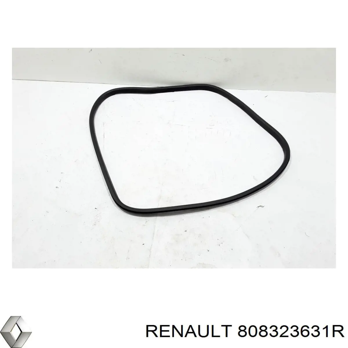 808323631R Renault (RVI) 