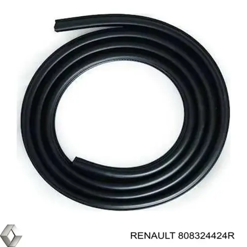 Ущільнювач двері передньої (на кузові) Renault (RVI) 808324424R ціна, від 32.41 USD