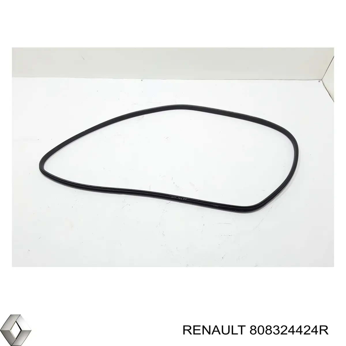  808324424R Renault (RVI)