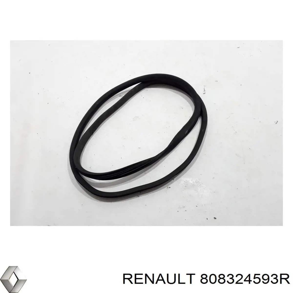 Купити 808324593R Renault (RVI) 