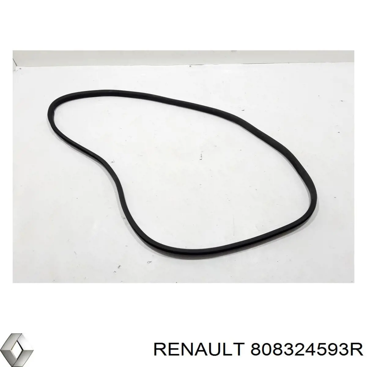  808324593R Renault (RVI)