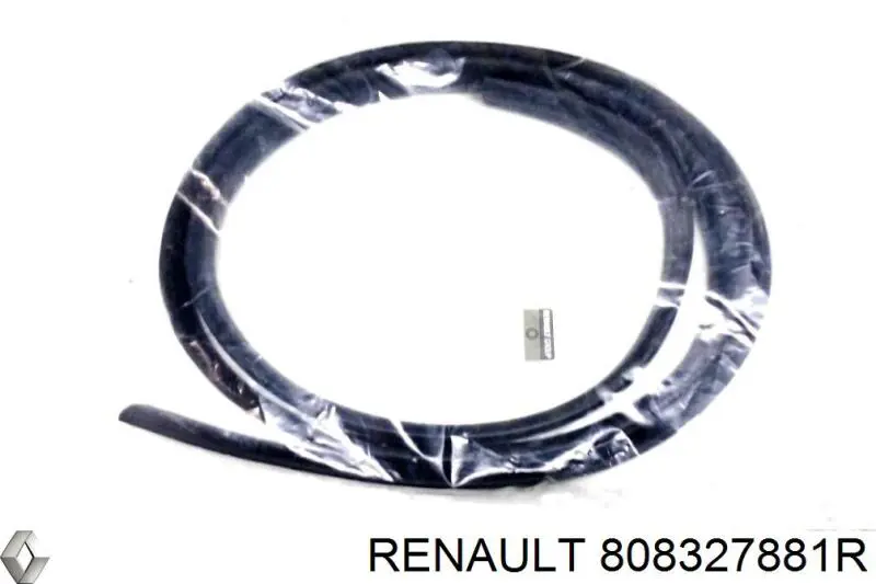  808327881R Renault (RVI)