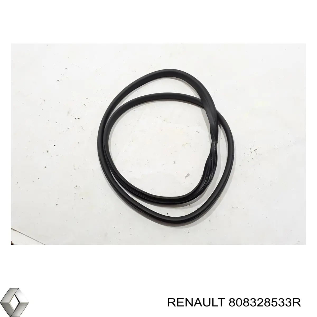 808328533R Renault (RVI) 