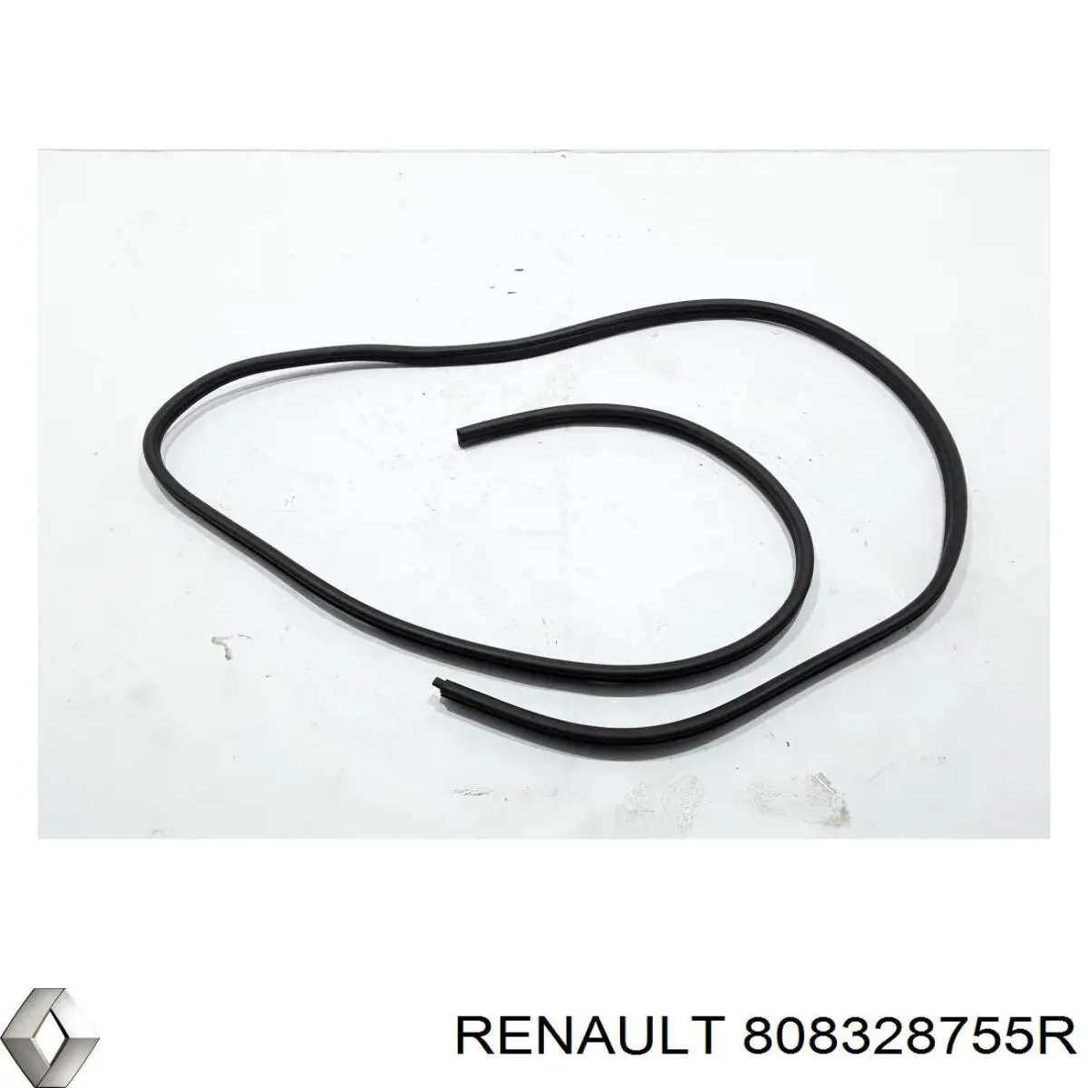 808328755R Renault (RVI) 
