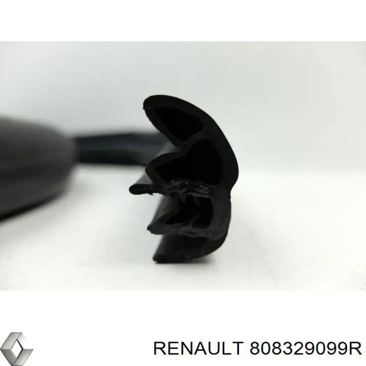  808329099R Renault (RVI)