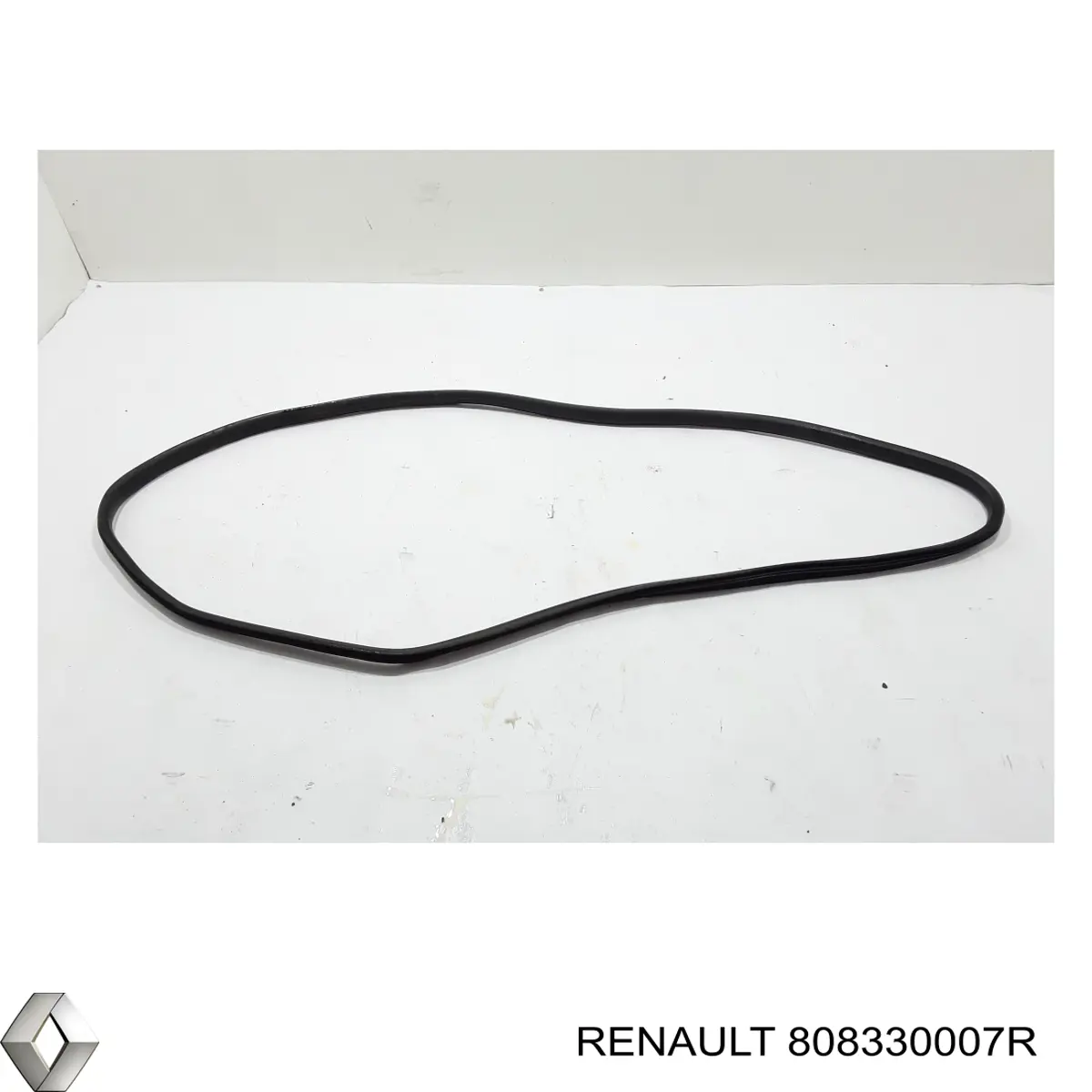 808330007R Renault (RVI) 