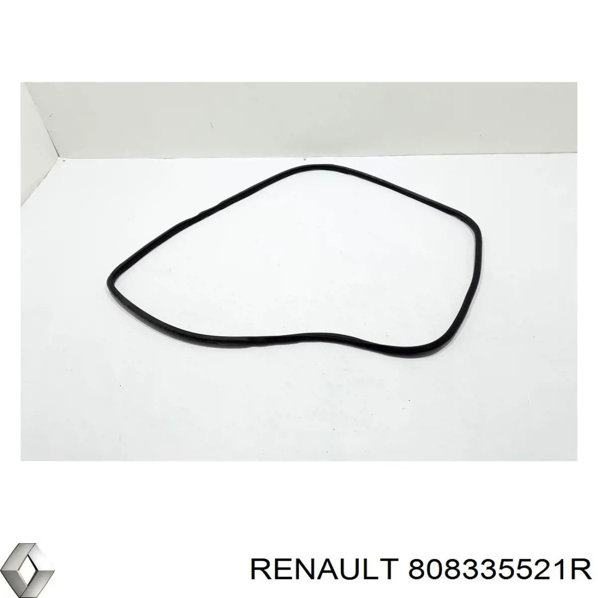 808335521R Renault (RVI) Прокладка дверей передніх, лівих (на кузові)