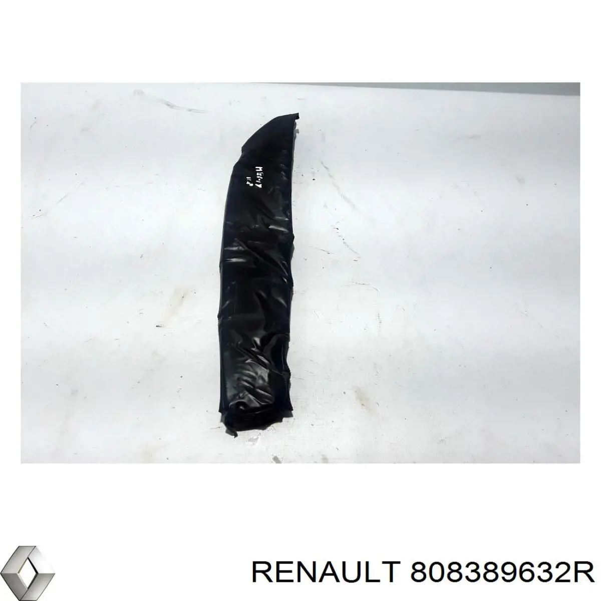 Купити 808389632R Renault (RVI) 