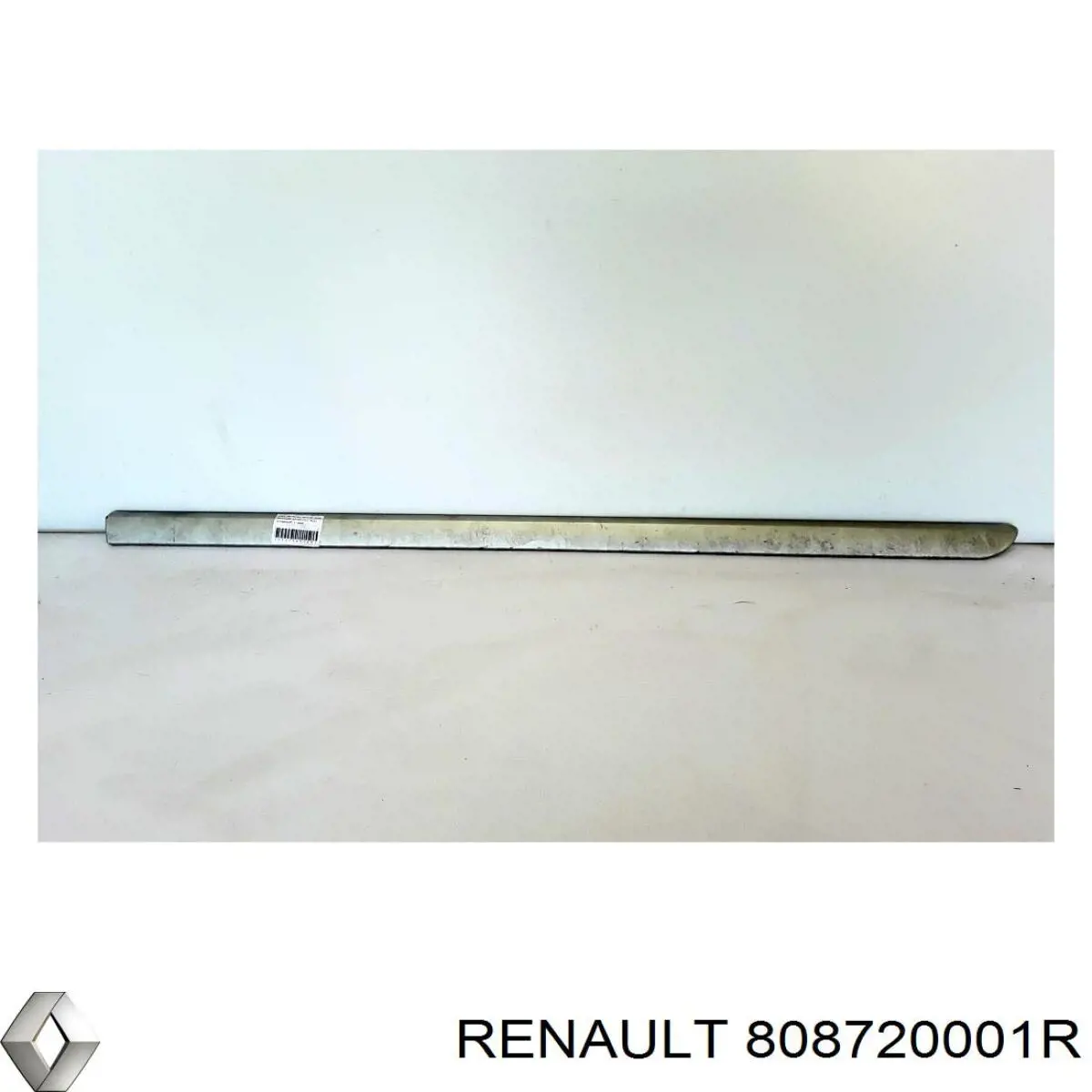 Молдинг передньої правої двері Renault (RVI) 808720001R ціна, від 21.54 USD