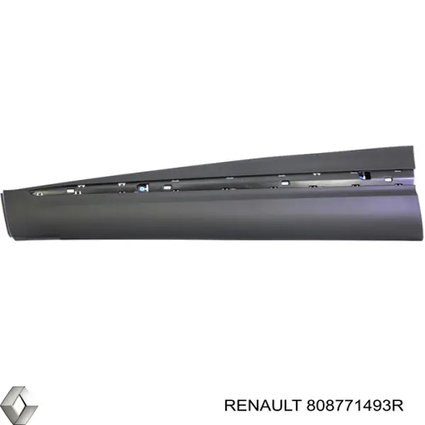 Молдинг передньої лівої двері, нижній Renault (RVI) 808771493R ціна, від 58.05 USD