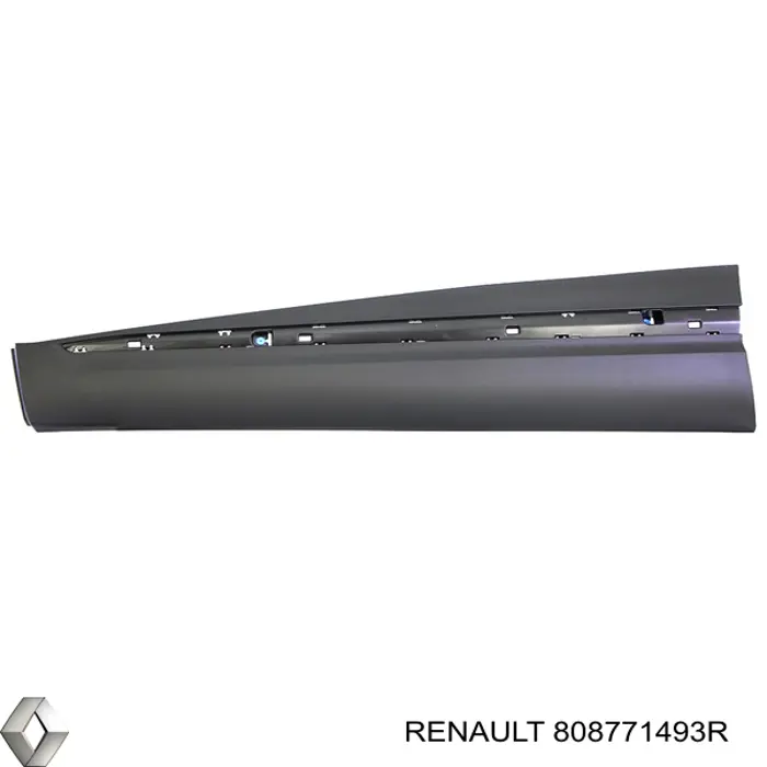808771493R Renault (RVI) Молдинг передніх лівих дверей, нижній
