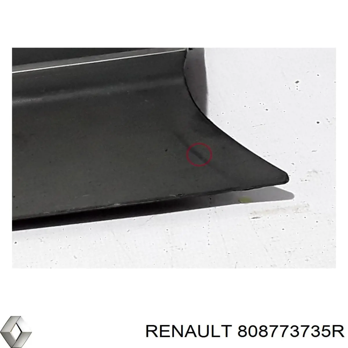 808773735R Renault (RVI) 