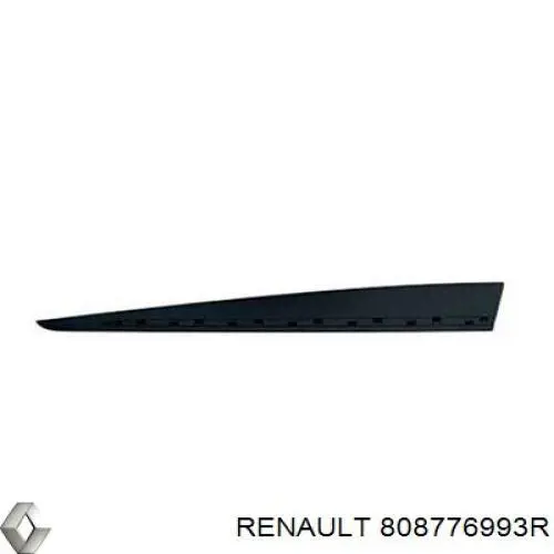 Молдинг передньої лівої двері Renault (RVI) 808776993R ціна, від 31.44 USD