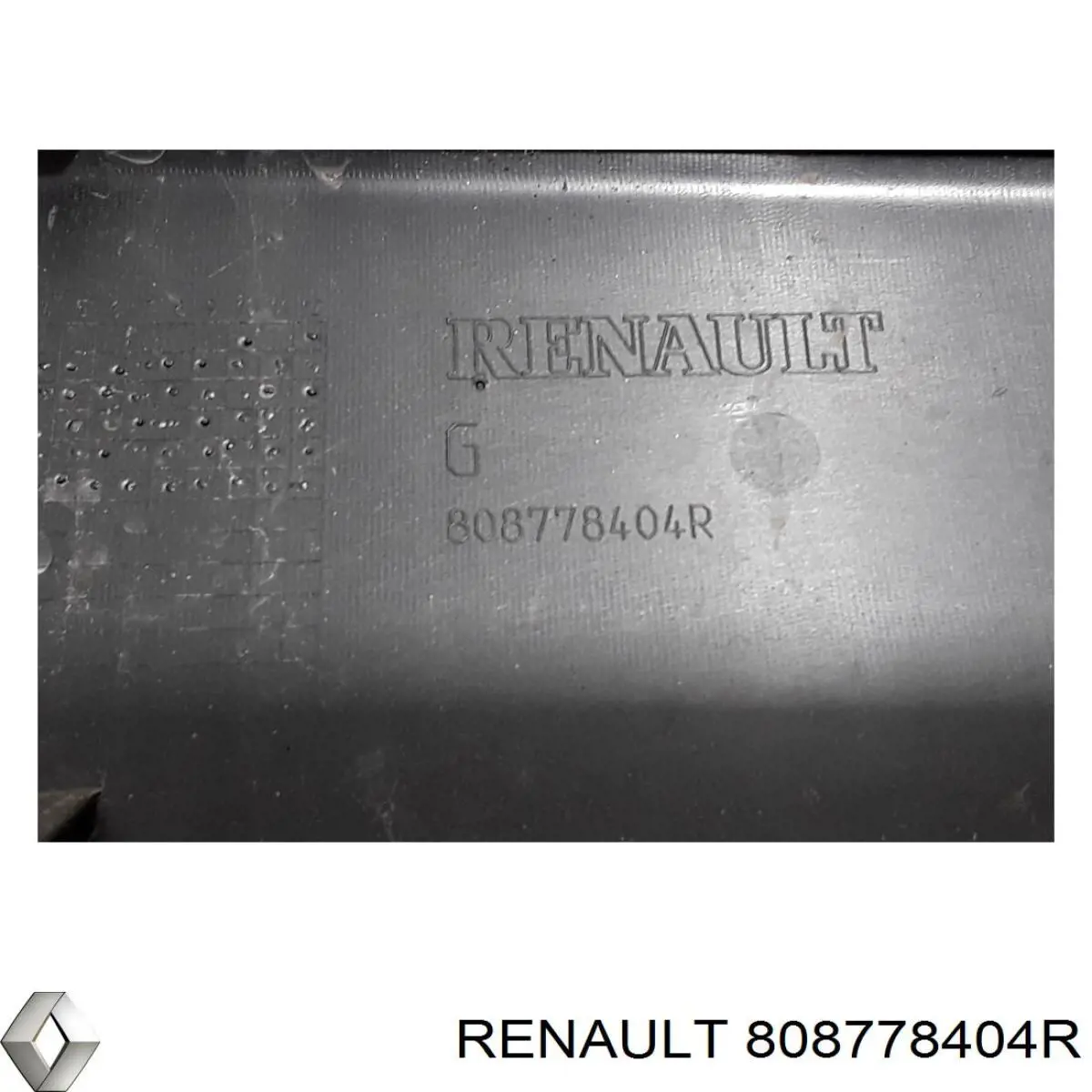 Накладка передньої лівої двері Renault (RVI) 808778404R