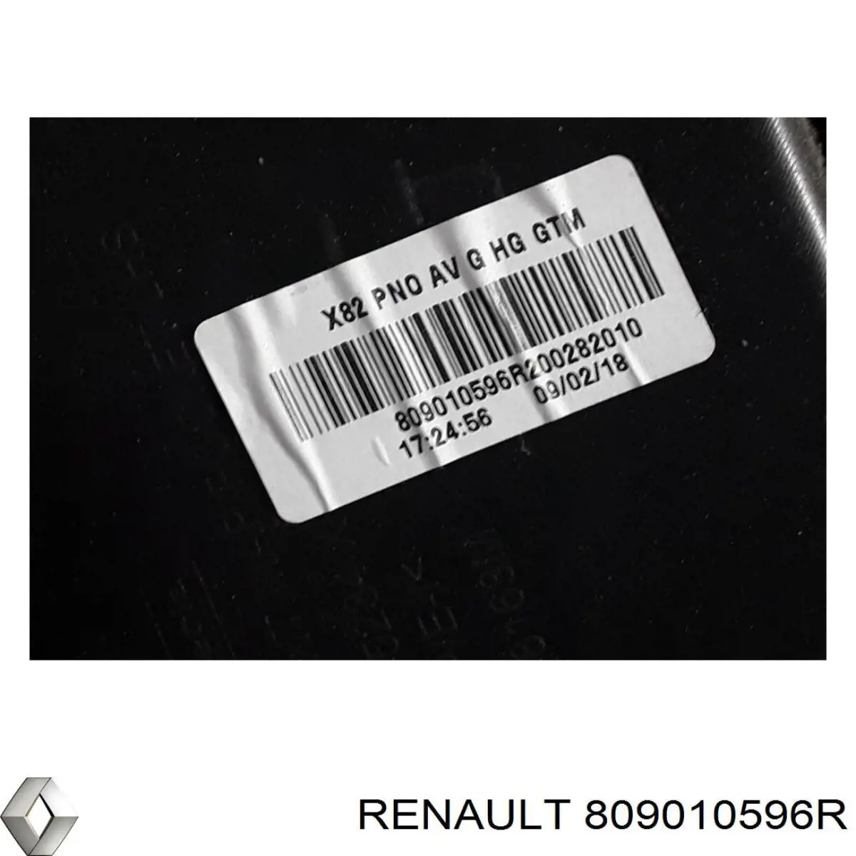 809010596R Renault (RVI) Дверна карта передня ліва