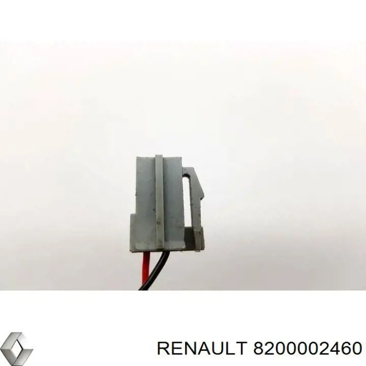  8200002460 Renault (RVI)