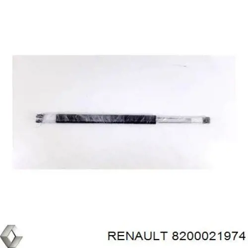Амортизатор багажника 8200021974 Renault (RVI)
