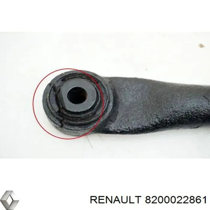 Купити 8200022861 Renault (RVI) Торсіон задній