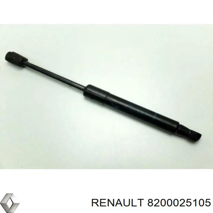 Амортизатор скла задніх, 3/5-ї двері (ляди) 8200025105 Renault (RVI)