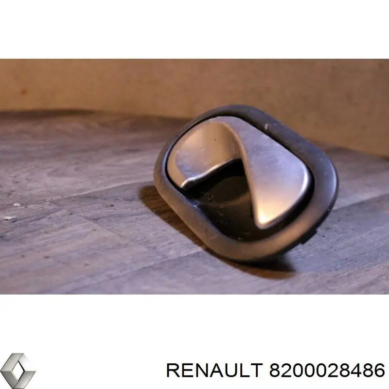 Купити 8200491984 Renault (RVI) Ручка правих передніх дверей