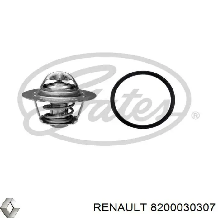 8200030307 Renault (RVI) термостат