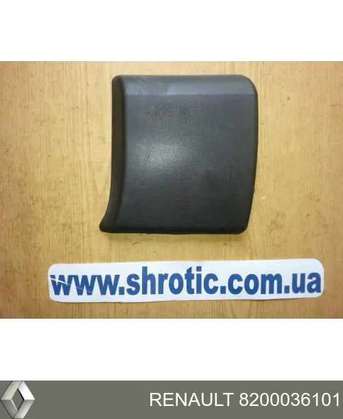 Молдинг заднього правого крила Renault (RVI) 8200036101 ціна, від 12.16 USD