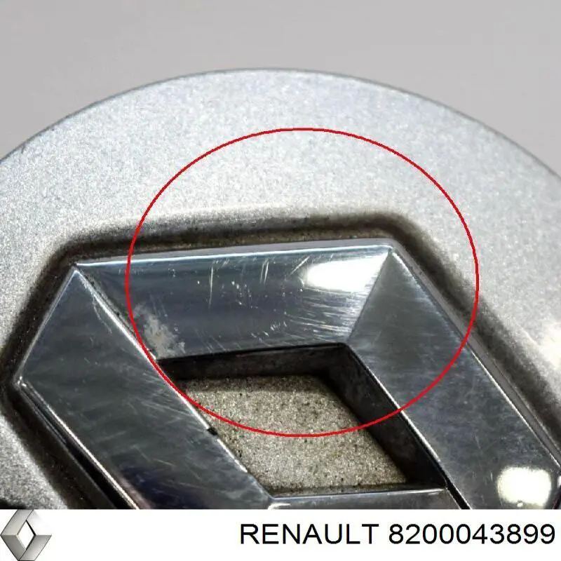8200043899 Renault (RVI) Ковпаки на колеса