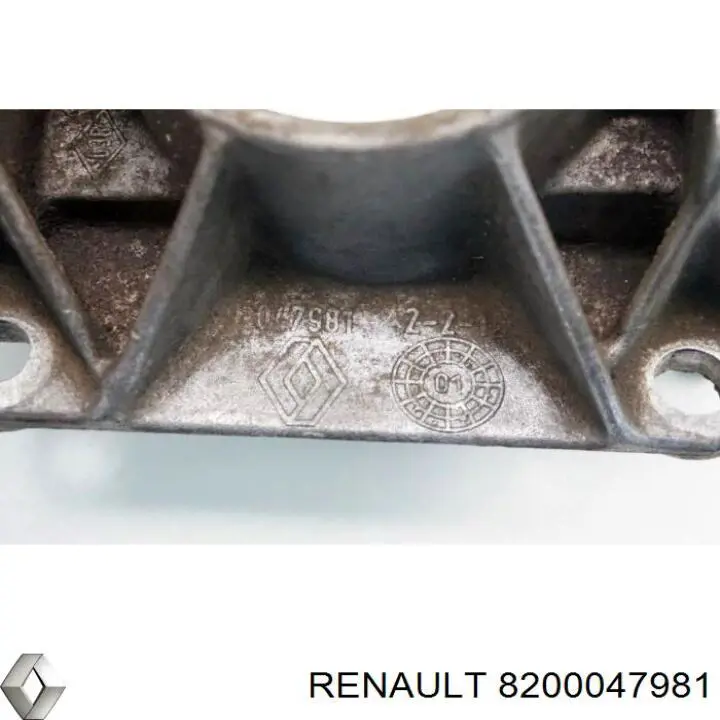  8200047981 Renault (RVI)