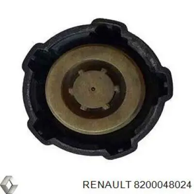 Кришка розширювального бачка 8200048024 Renault (RVI)