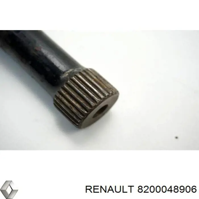  8200048906 Renault (RVI)