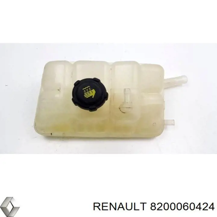 8200060424 Renault (RVI) 