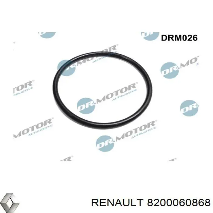 Купити 8200060868 Renault (RVI) Дросільна заслінка
