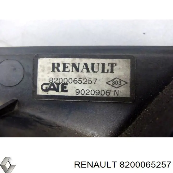 Дифузор радіатора охолодження, в зборі з двигуном і крильчаткою Renault (RVI) 8200065257
