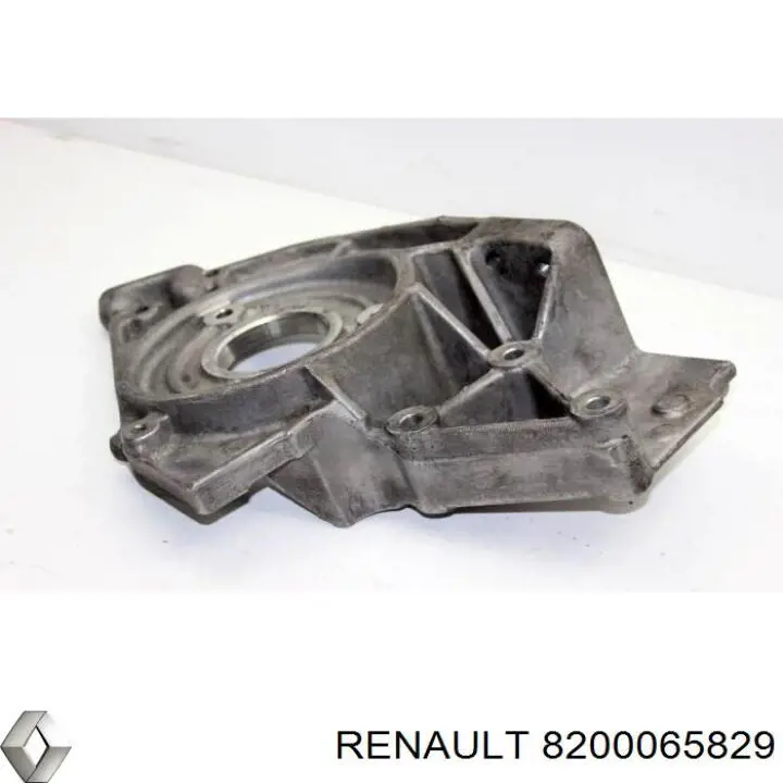 8200065829 Renault (RVI) 
