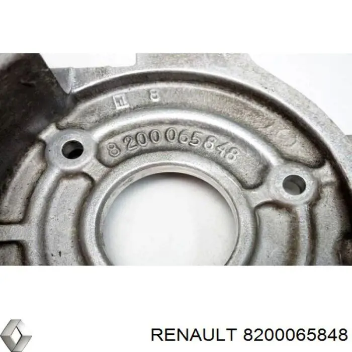 8200065848 Renault (RVI)