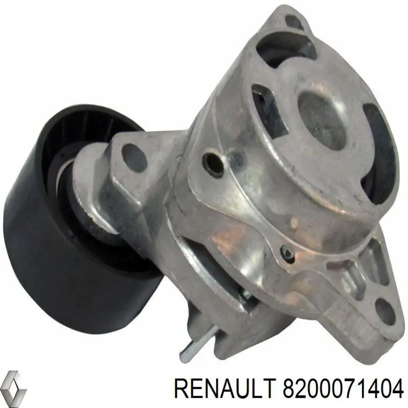 8200071404 Renault (RVI) ролик приводного ременя, паразитний