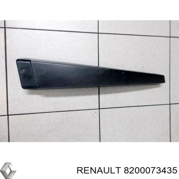  8200073435 Renault (RVI)