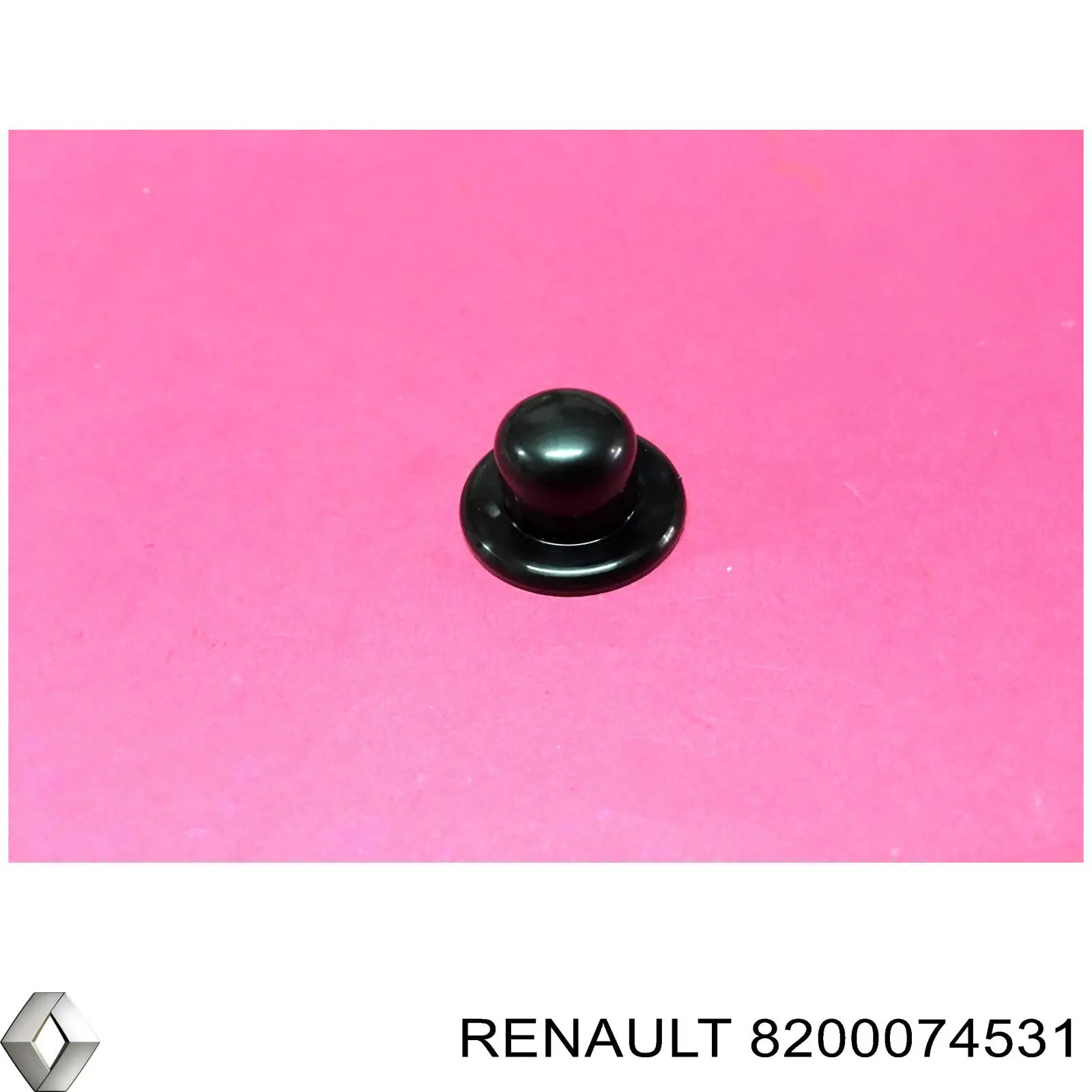 8200074531 Renault (RVI) 