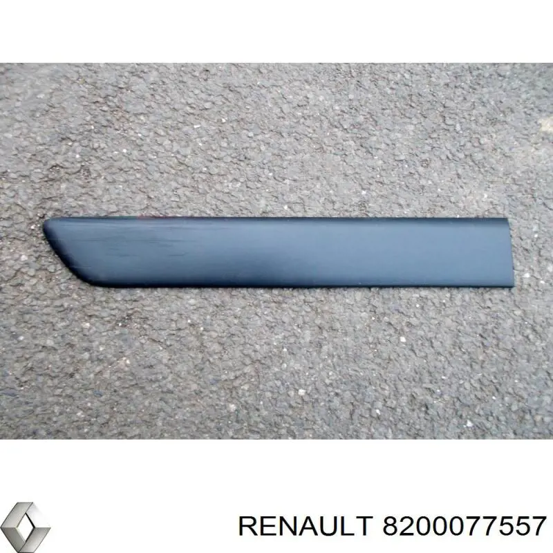 Молдинг задніх правих дверей Renault Kangoo (FC0) (Рено Канго)
