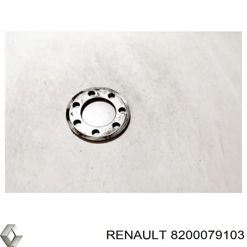  8200079103 Renault (RVI)