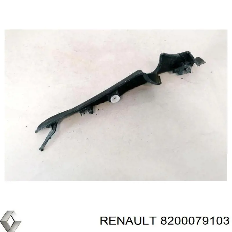 Купити 8200079103 Renault (RVI) 