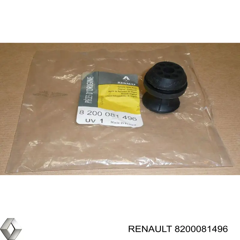  8200081496 Renault (RVI)