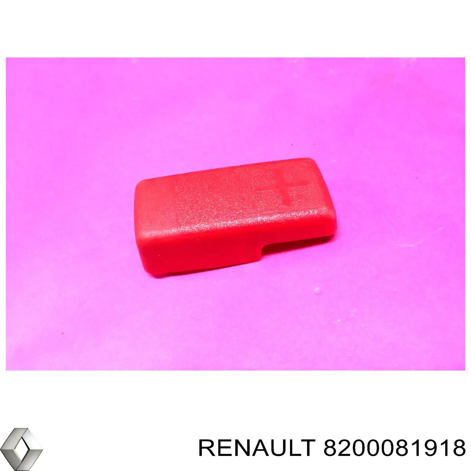 8200081918 Renault (RVI) 