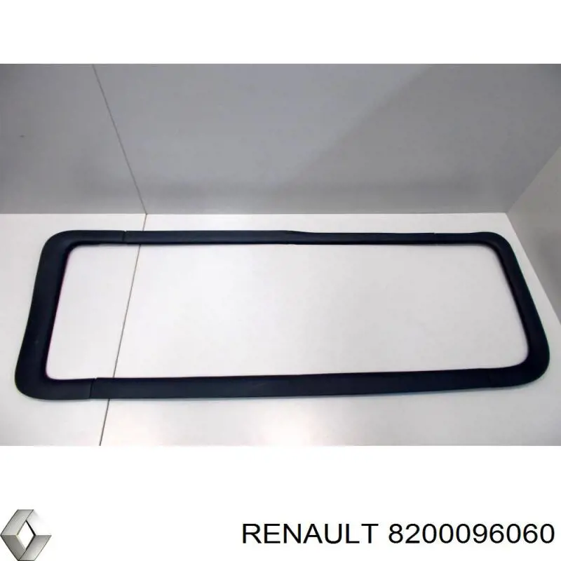  8200096060 Renault (RVI)