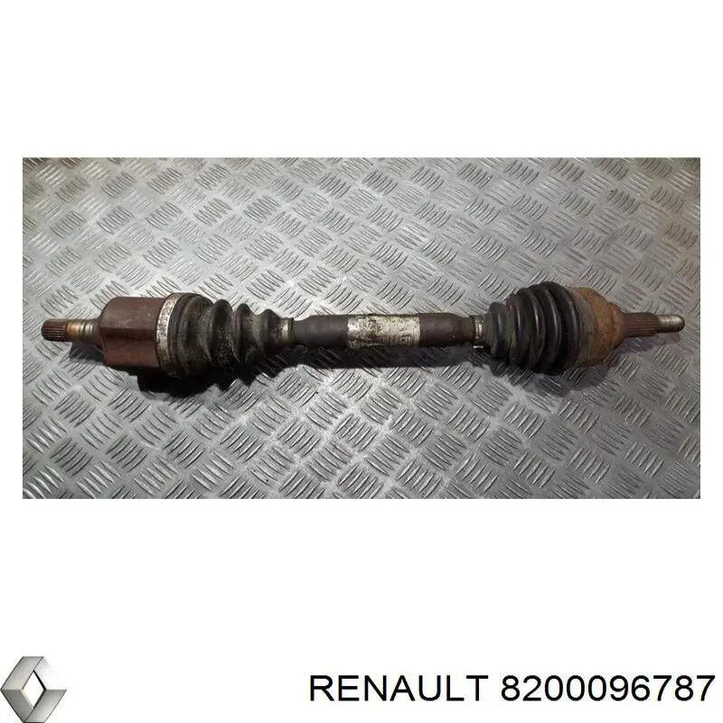  8200096787 Renault (RVI)